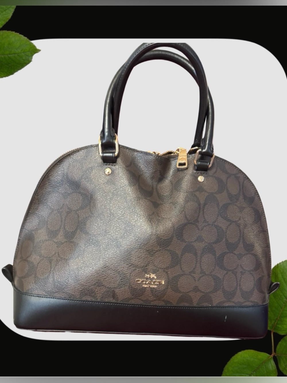 Coach Dark Brown Signature Dome Satchel with Black Trim